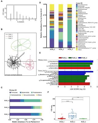 Association between gut microbiota, microbial network, and immunity in pregnancy with a focus on specific bacterial clusters